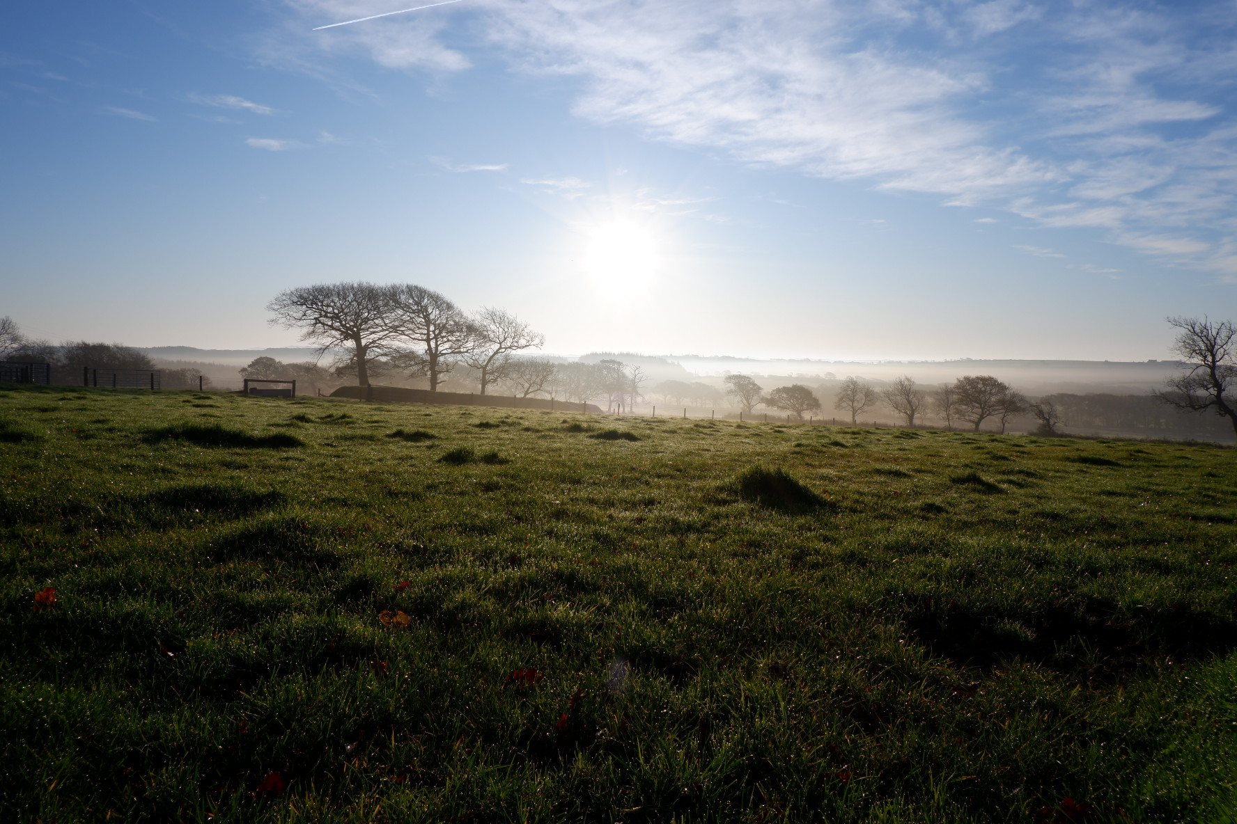 Leworthy Manor Glamping Blog